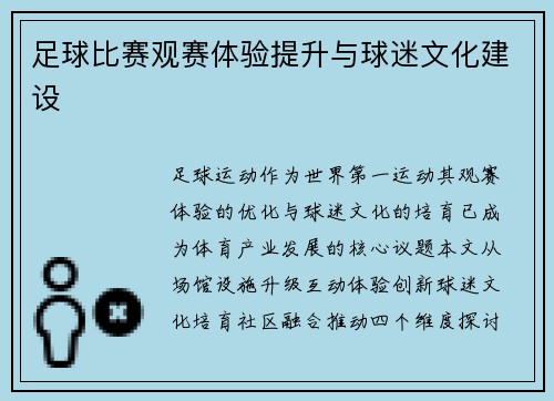 足球比赛观赛体验提升与球迷文化建设